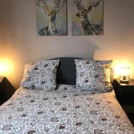 Bel Hypercentre T3/70 M2 Apartment *
